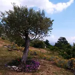 Bed and breakfast La Montagna Rosa Castelnuovo (Isernia)