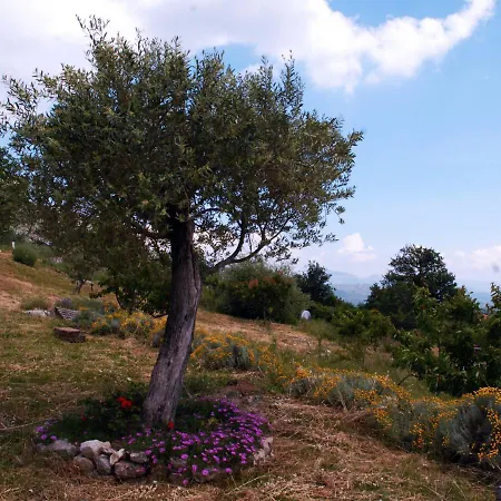 לינה וארוחת בוקר La Montagna Rosa Castelnuovo (Isernia)
