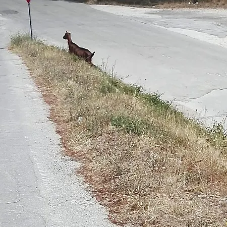 La Montagna Rosa Castelnuovo (Isernia)