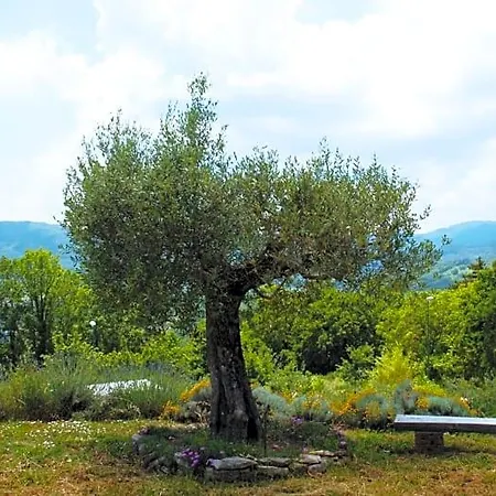La Montagna Rosa 3*