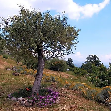 La Montagna Rosa 3* Castelnuovo (Isernia)